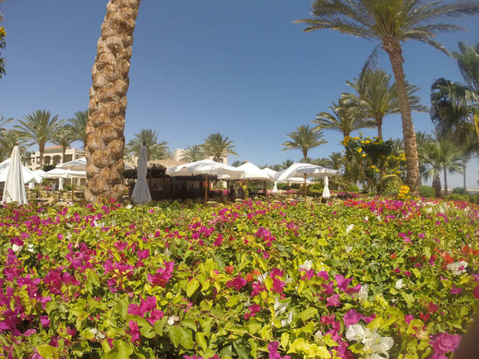 Bar przy basenach w kwiatach JAZ Mirabel Beach