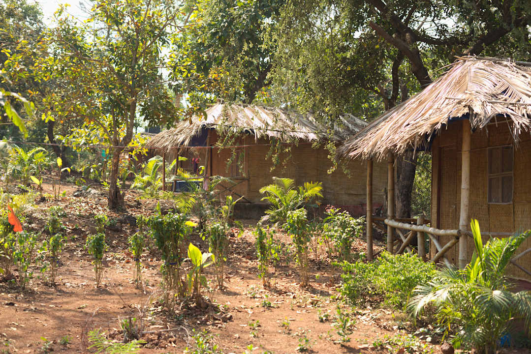 Sonstiges Credo Jungle Resort - Agonda