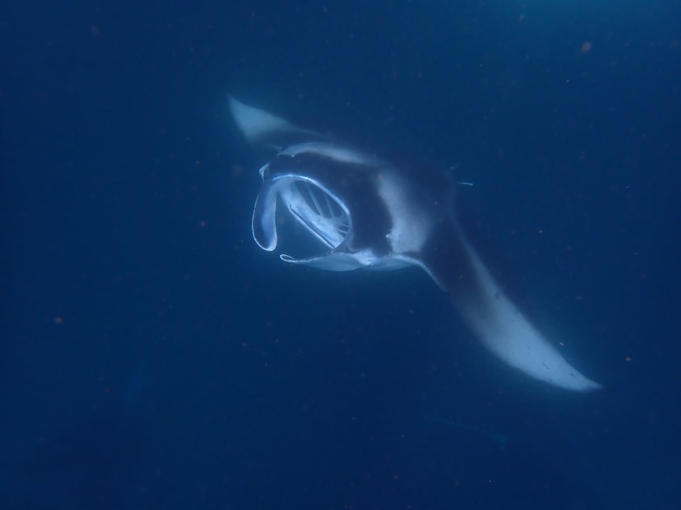 Strand NH Collection Maldives Reethi Resort