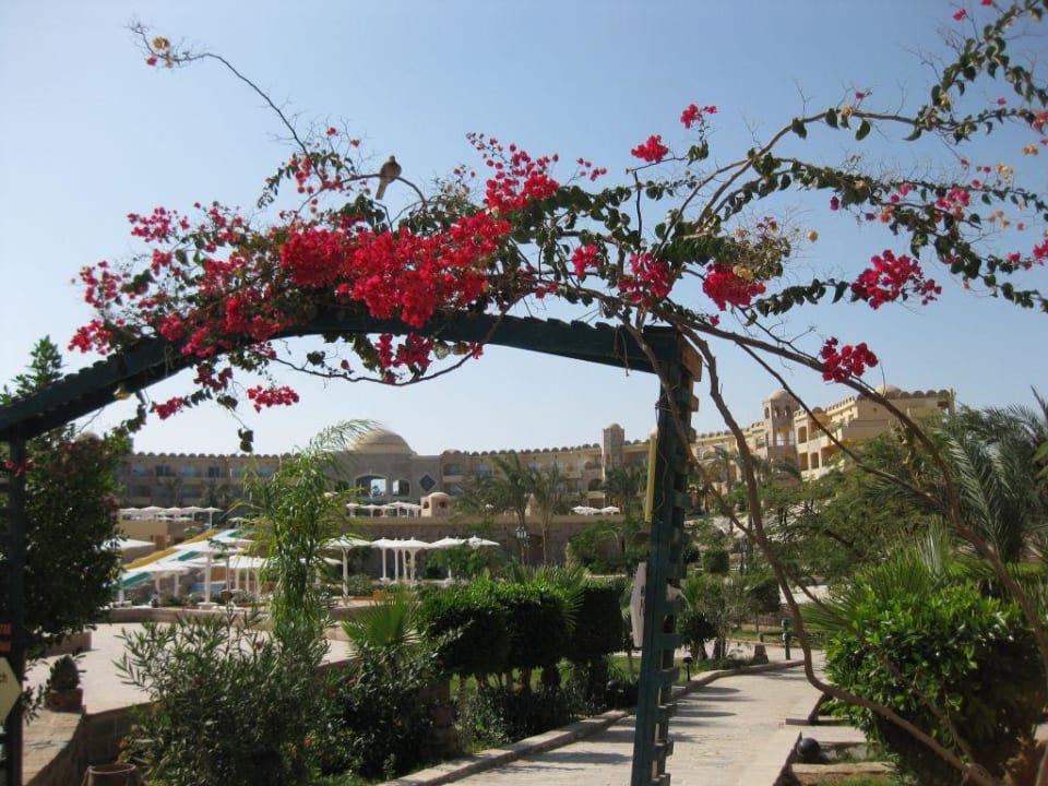 Blick aufs Utopia Royal Utopia Beach Club