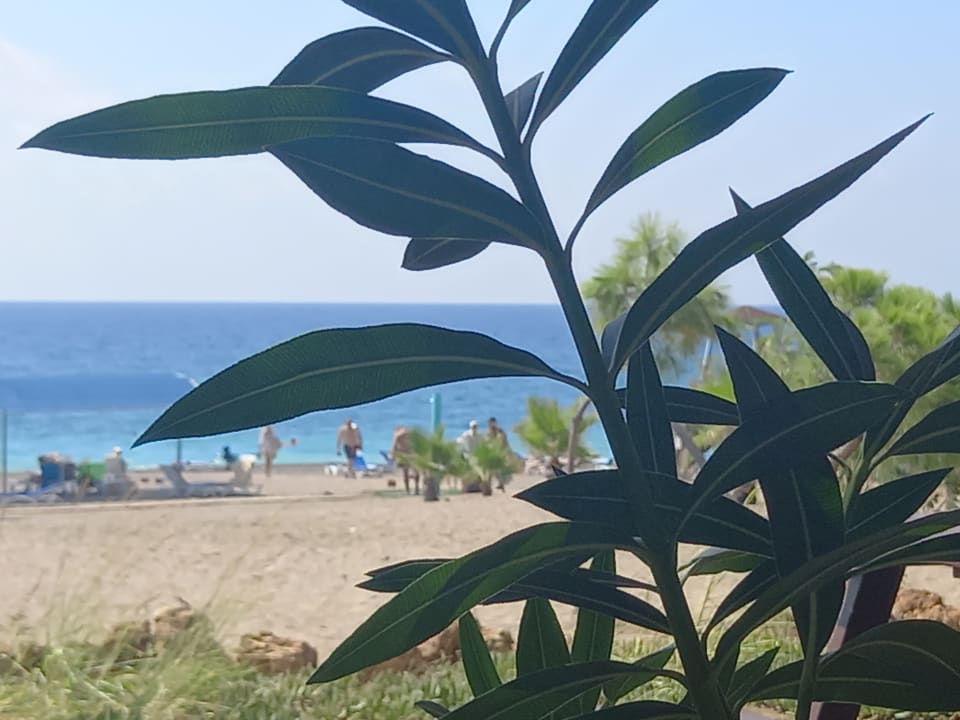Strand Cenger Beach Resort & Spa