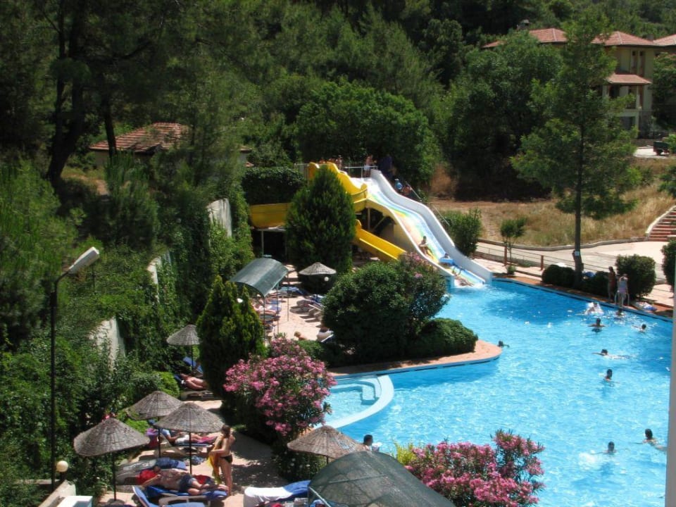 Pool Voxx Resort