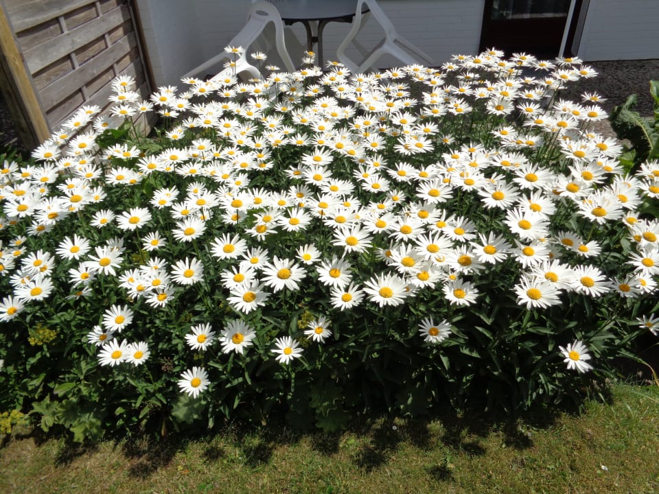 Gartenanlage Ferienhaus Corinna