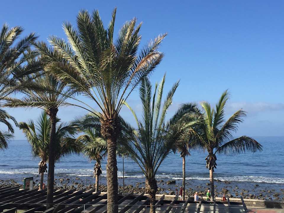 Ausblick auf Meer Lopesan Costa Meloneras, Resort & Spa