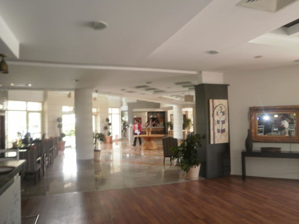 Blick von der Bar zum Eingang Trendy Palm Beach (Adults Only, 16+)