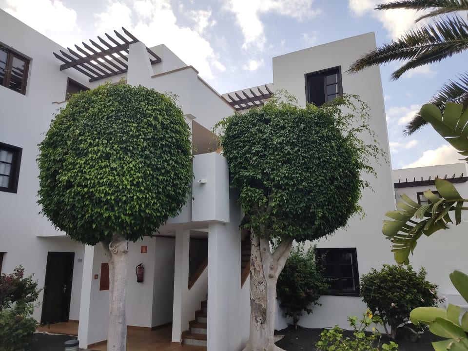 Gartenanlage allsun App.-Hotel Albatros