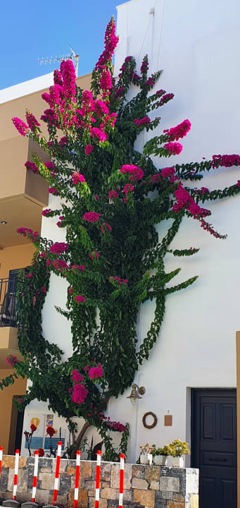 Außenansicht Nami Hotel & Suites