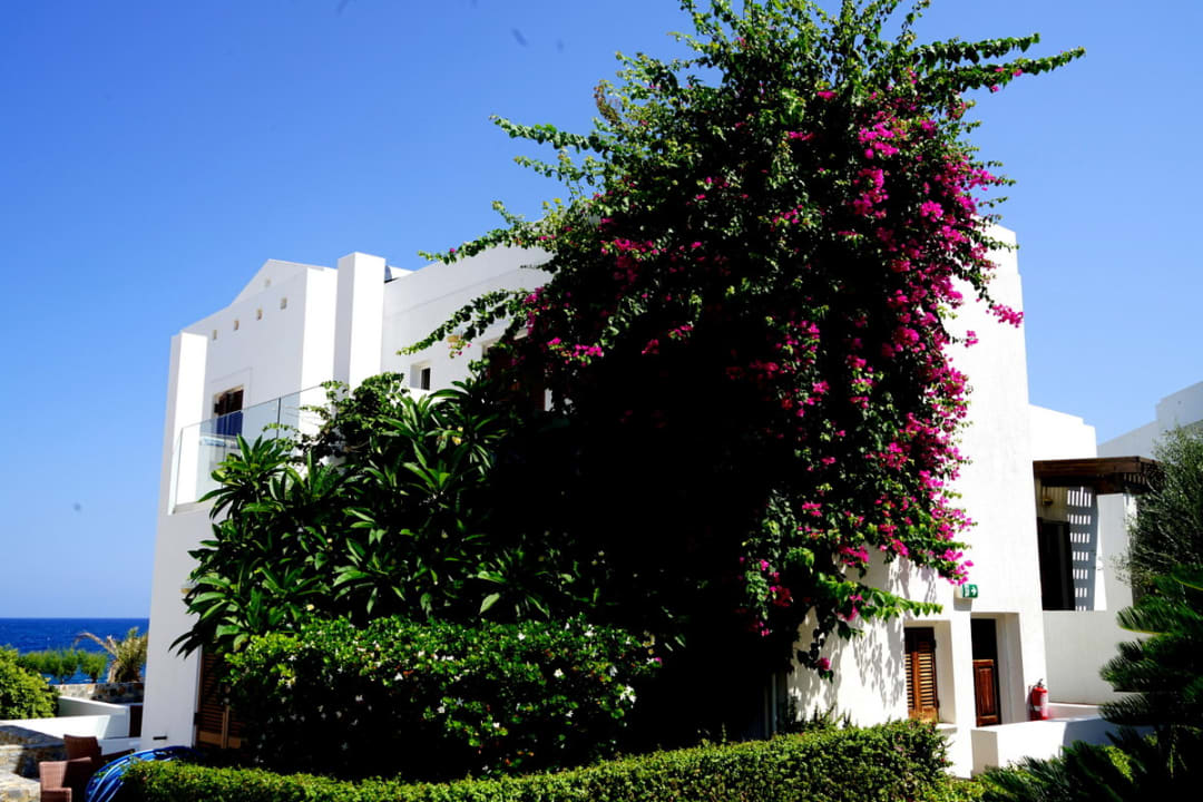 Außenansicht Maritimo Beach Hotel