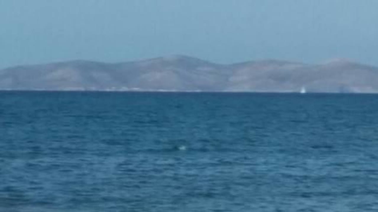 Jeden Tag der schöne Blick übers Meer, so beruhigen Mastichari Bay Hotel