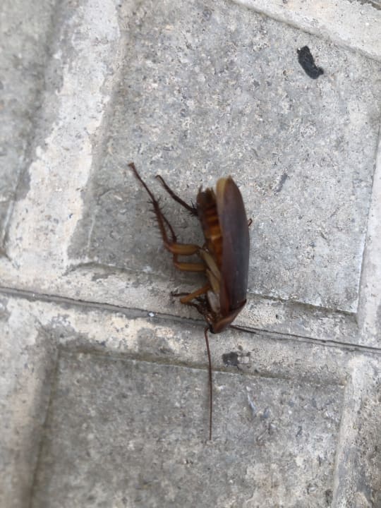 Außenansicht Ahoi! Urban Beach Hotel