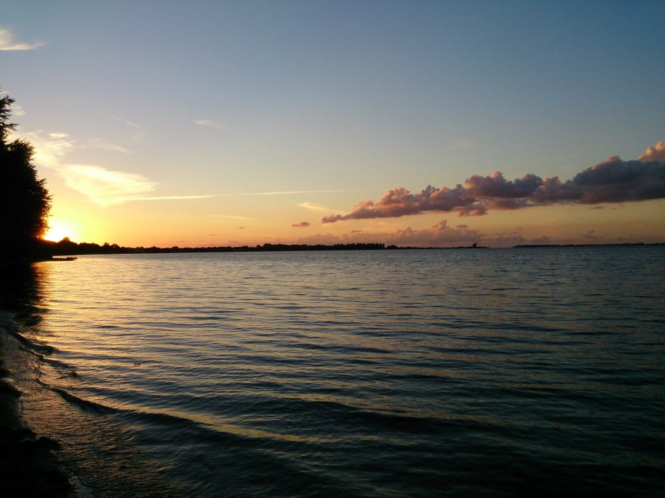 Blick vom Strand Phönix Hotel Seeblick