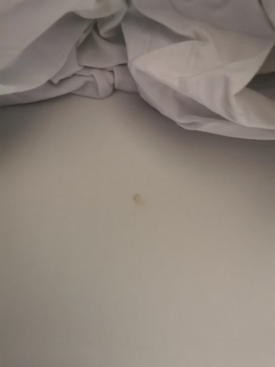 Zimmer Hotel Goldene Traube - by Neugart