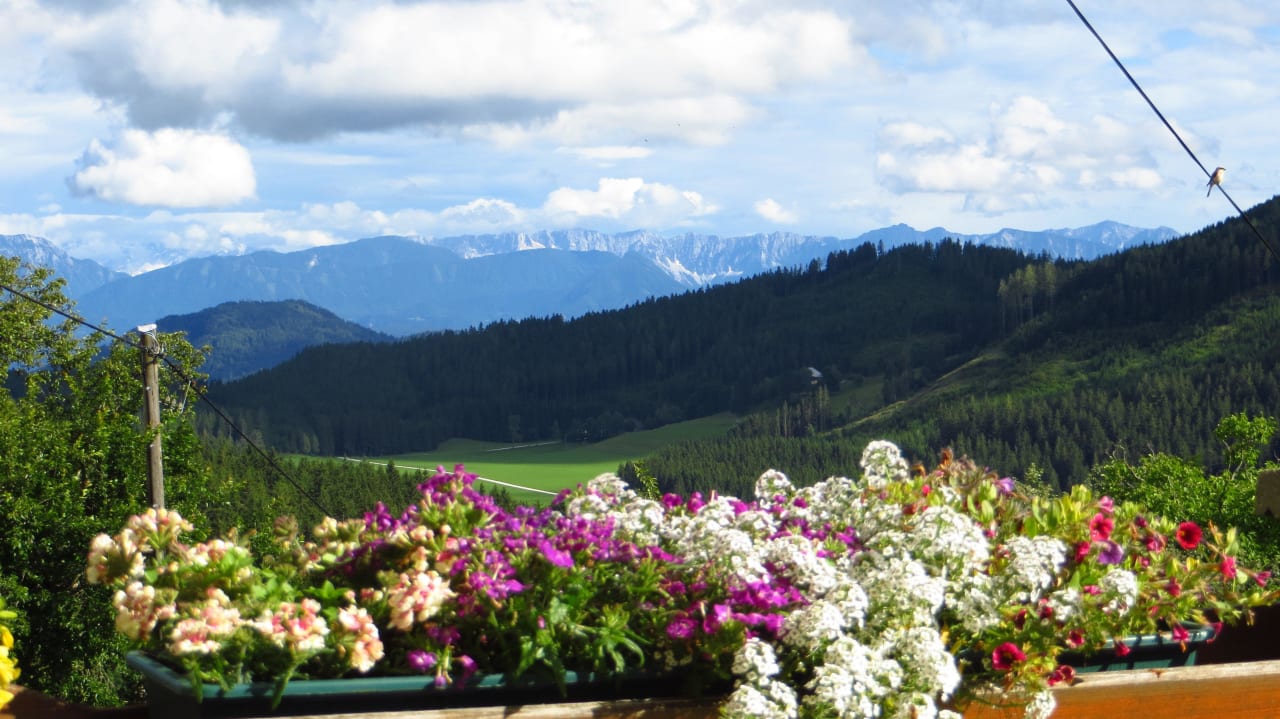 Landschaftsblick Ferienwohnungen Schlintl-Hof