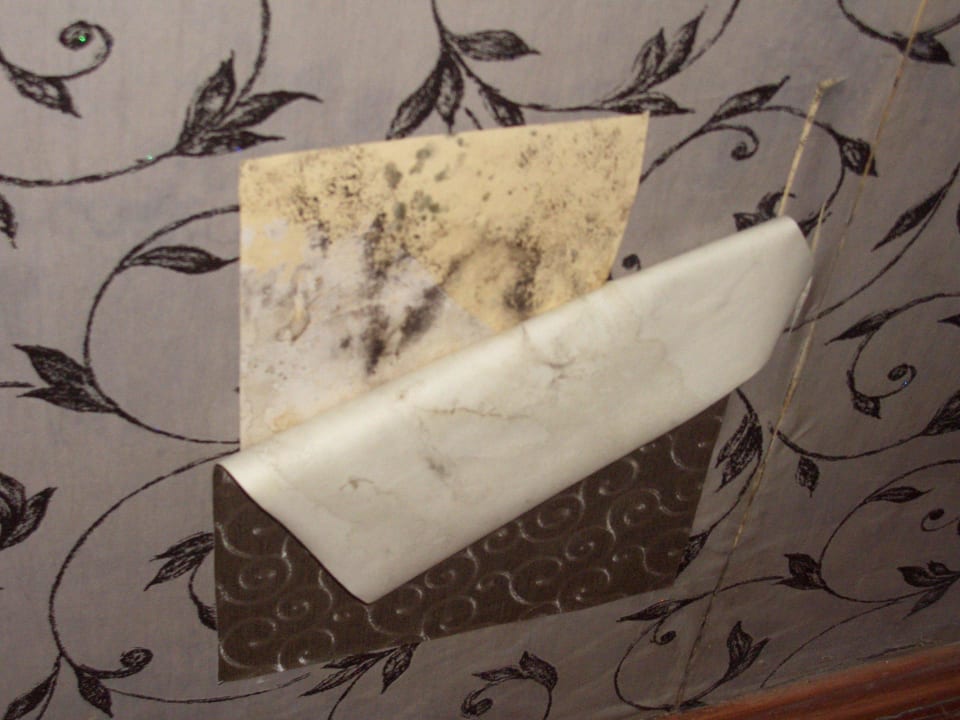 Schimmel vom Personal vertuscht Mira Meridia Beach Hotel