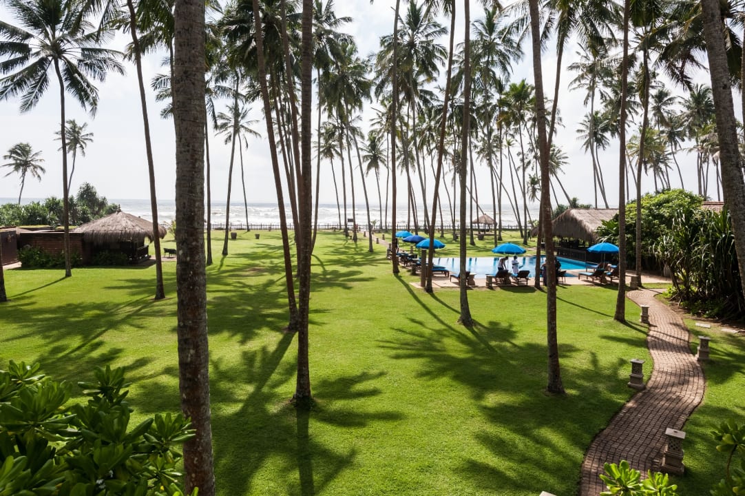 Gartenanlage Reef Villa Sri Lanka