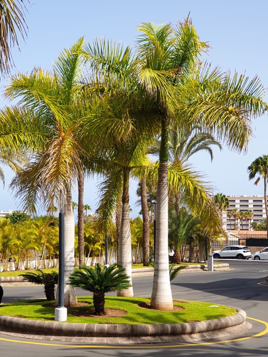 Außenansicht Hotel Riu Papayas