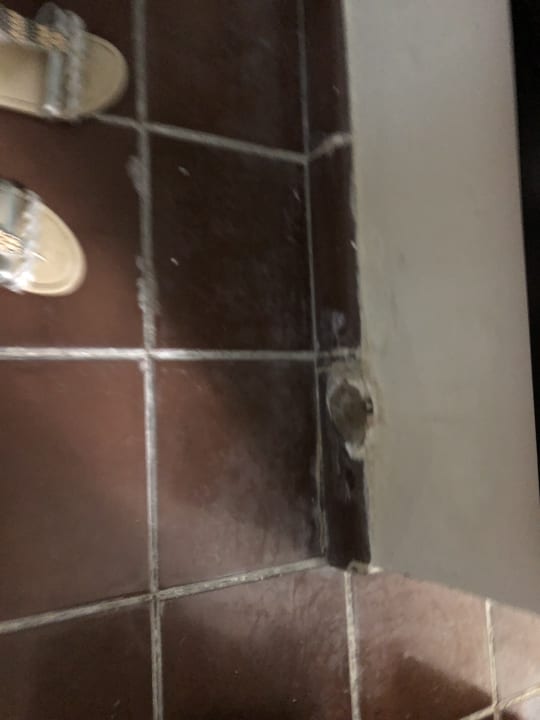 Zimmer Puerto Plata Village