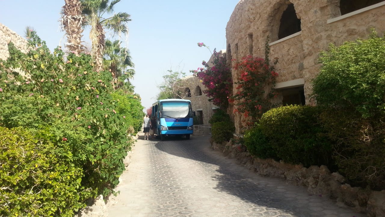 Freundliche Taff Taff Fahrer Pickalbatros Citadel Resort