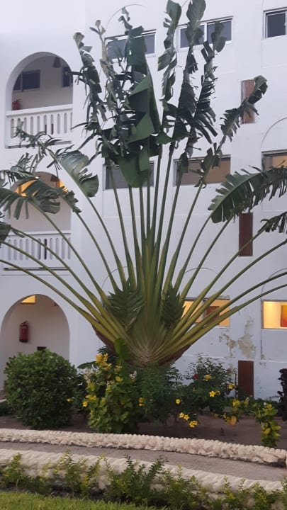 Sonstiges Royal Zanzibar Beach Resort