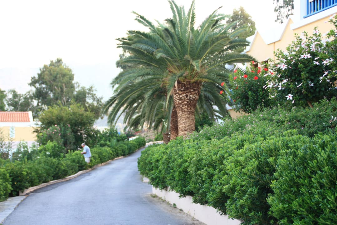 Gartenanlage Fodele Beach & Water Park Holiday Resort