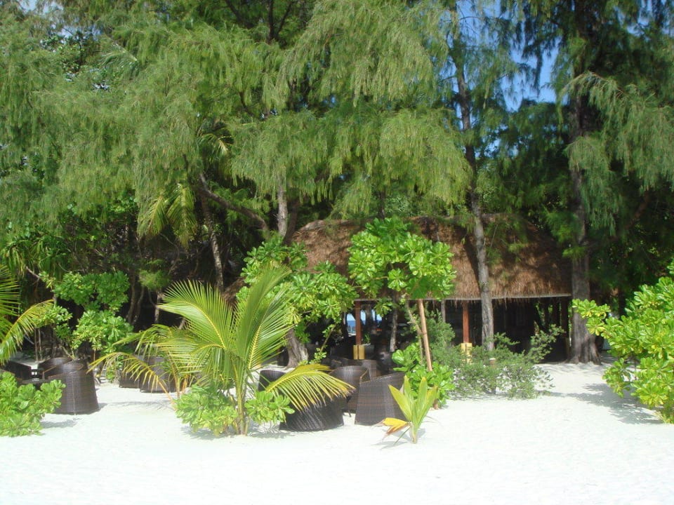Der Coffeshop NAKAI Maayafushi Resort