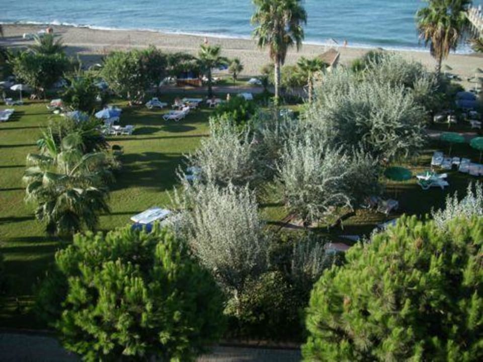 Garten und Strand MC Beach Park Resort Hotel