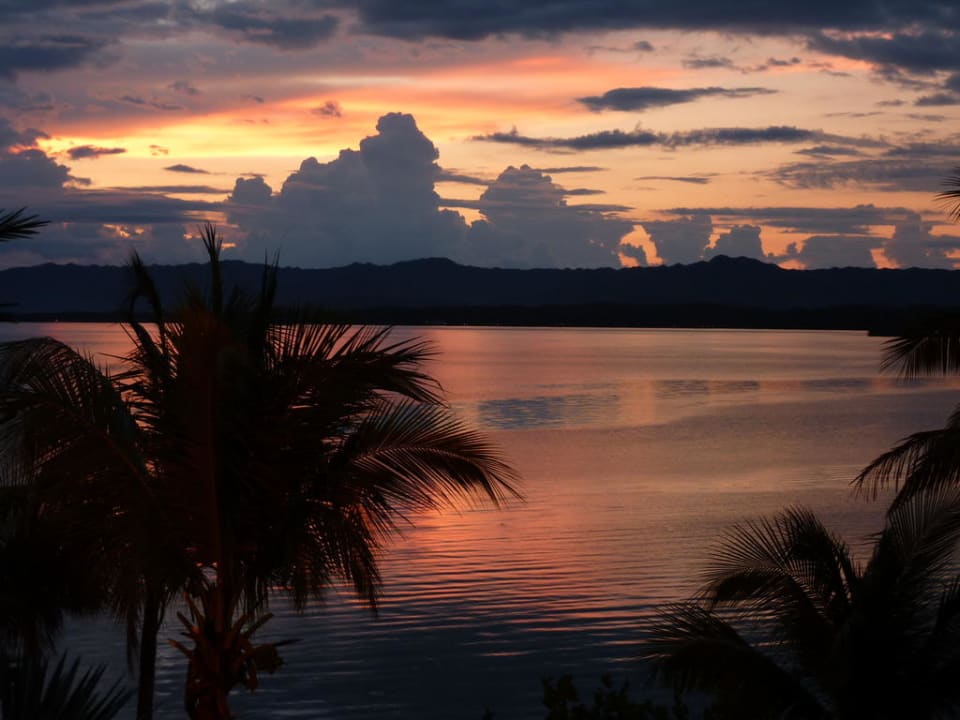 Blick auf Meer  Hotel Quinta Palomar