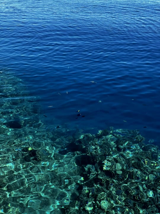 Strand Steigenberger Resort Alaya Marsa Alam - Red Sea - Adults only