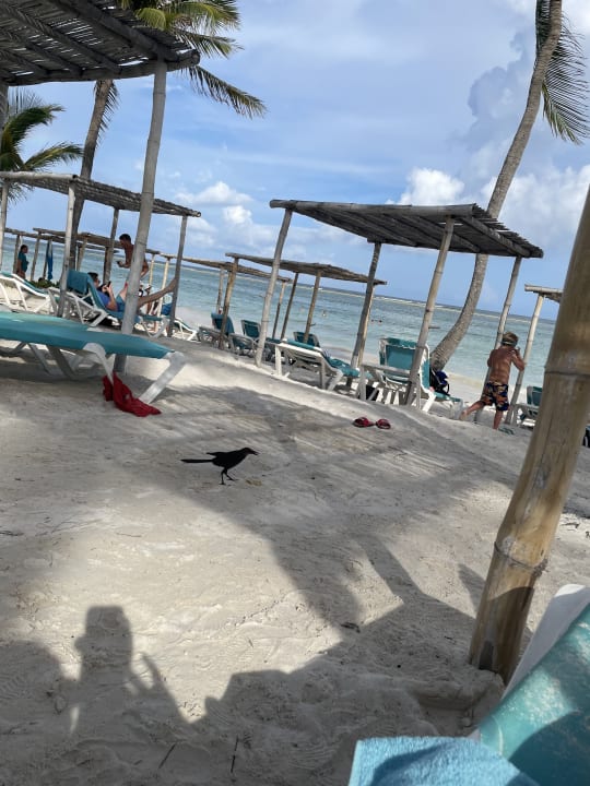 Strand Akumal Bay Beach & Wellness Resort