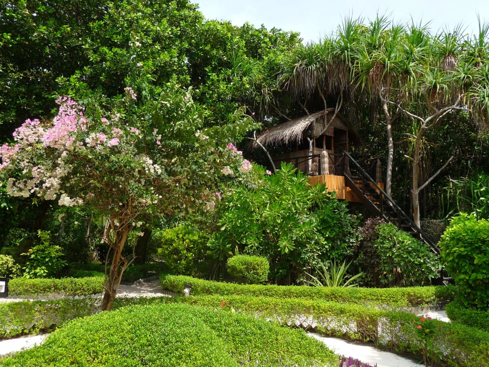 Jardin exotique Adaaran Select Meedhupparu Island Resort - Premium All Inclusive