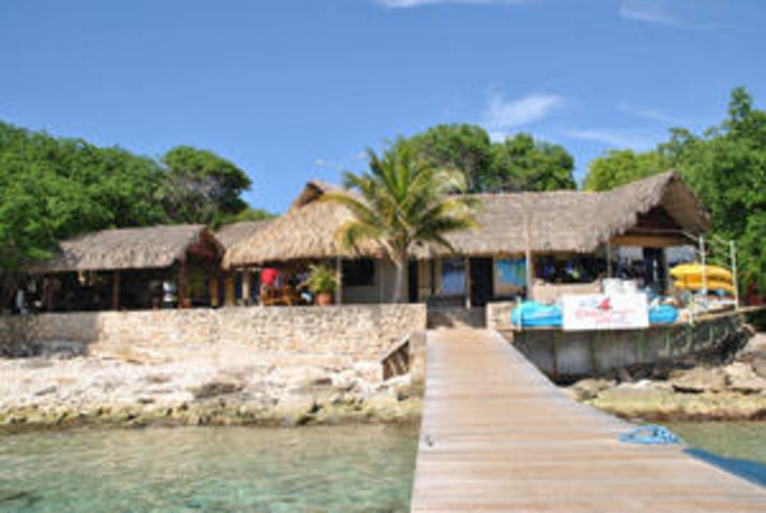 Unsere Tauchbasis Ocean Encounters West All West Apartments & Diving