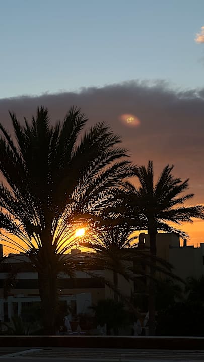Gartenanlage Iberostar Waves Gaviotas Park