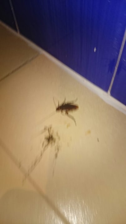 Zimmer SBH Costa Calma Beach Resort