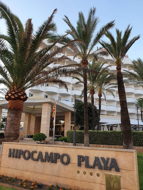 Außenansicht Hipotels Hipocampo Playa