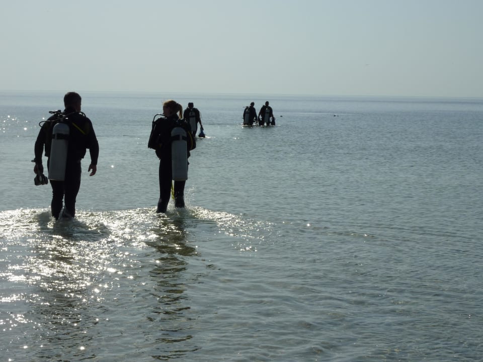 Am Hausriff Hotel Gorgonia Beach Resort