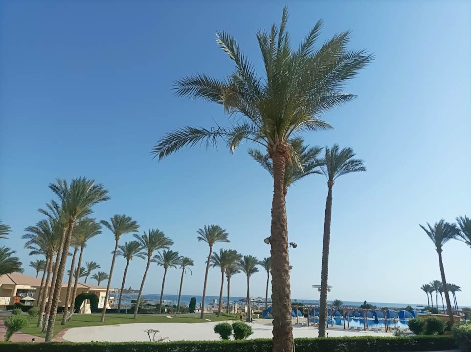 Pool Cleopatra Luxury Resort Makadi Bay