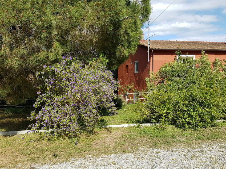 Außenansicht Tenuta Col di Sasso