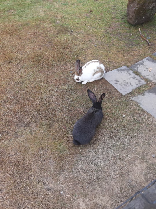 Sonstiges Ferienhof Hubertushof Eifel