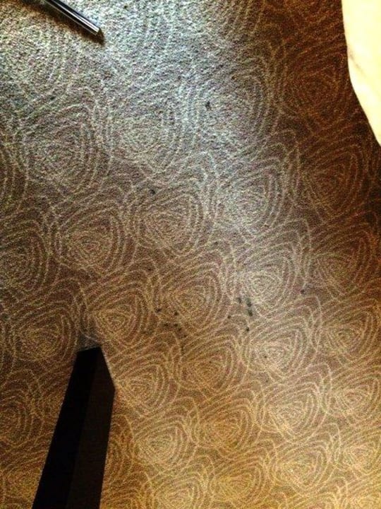 Verdreckter Teppich Lindner Hotel Vienna Am Belvedere, part of JdV by Hyatt