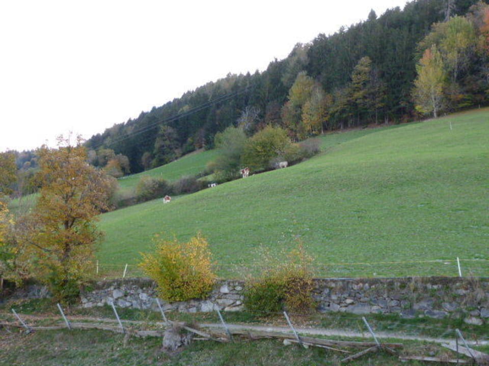 Blick vom Balkon  Pension Hahnenkamm