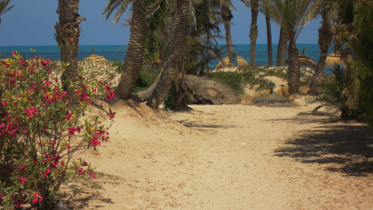 Strand Hotel El Mouradi Djerba Menzel