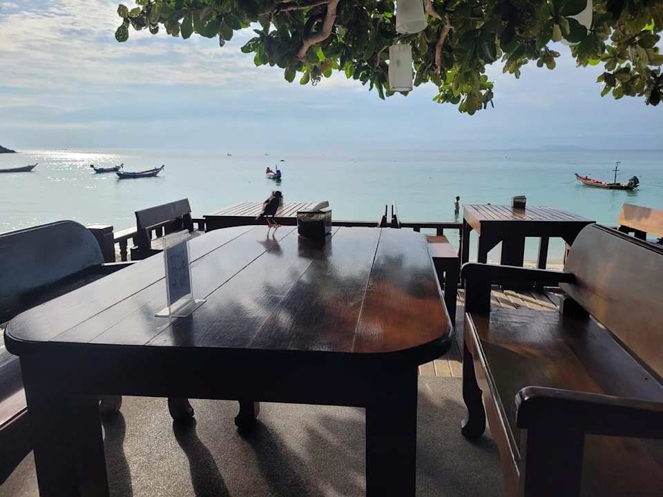 Lobby Hotel Salad Hut