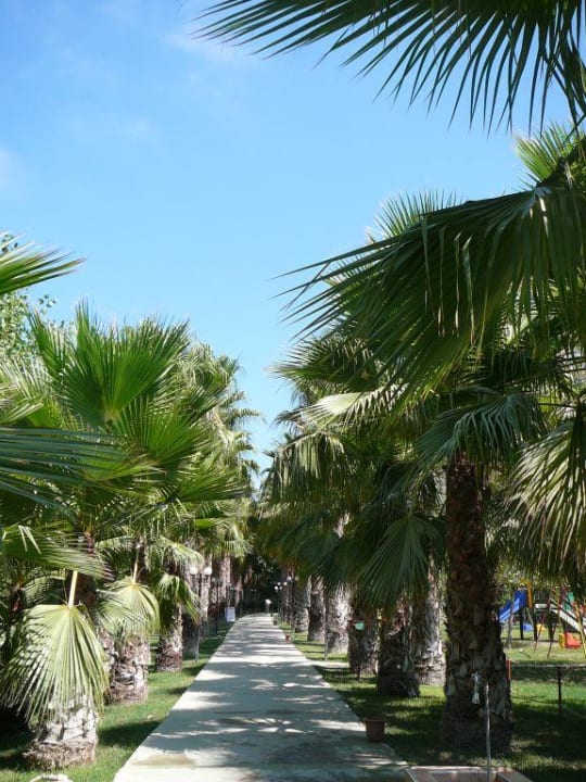 Weg zum Strand Gardenia Hotel