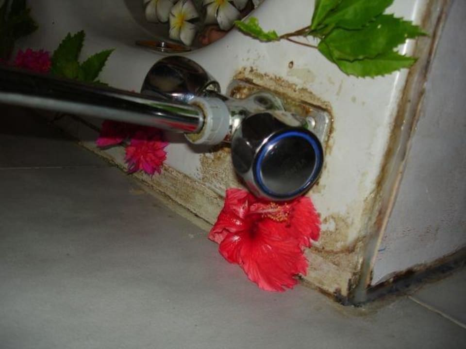 Renovierungsbedürftiger Therapiebereich Barberyn Sands Ayurveda Resort