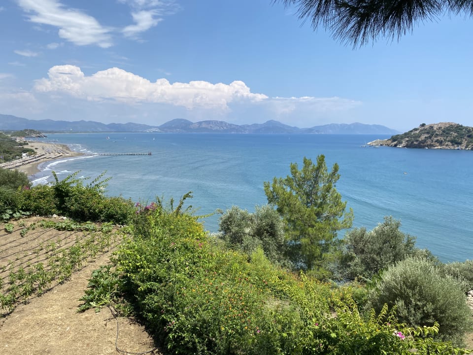 Ausblick TUI BLUE Seno - Adults Only