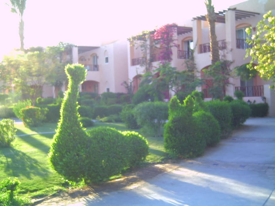 Weg zum Strand Jaz Makadi Saraya Resort