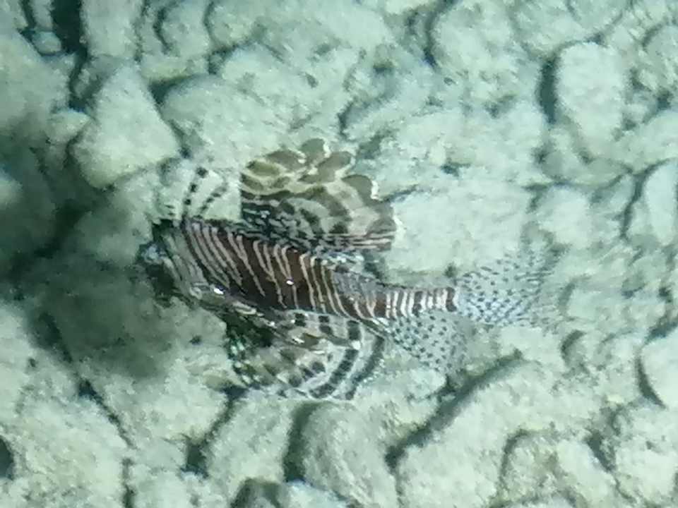 Sport & Freizeit Arabella Azur Resort