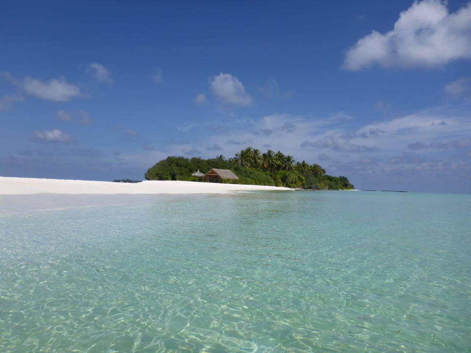 Sandbank Kuramathi Maldives