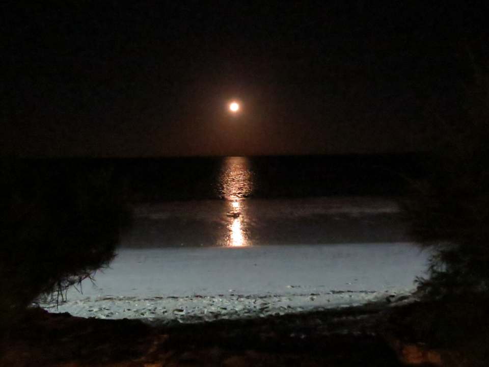 Strand Neptune Pwani Beach Resort & Spa