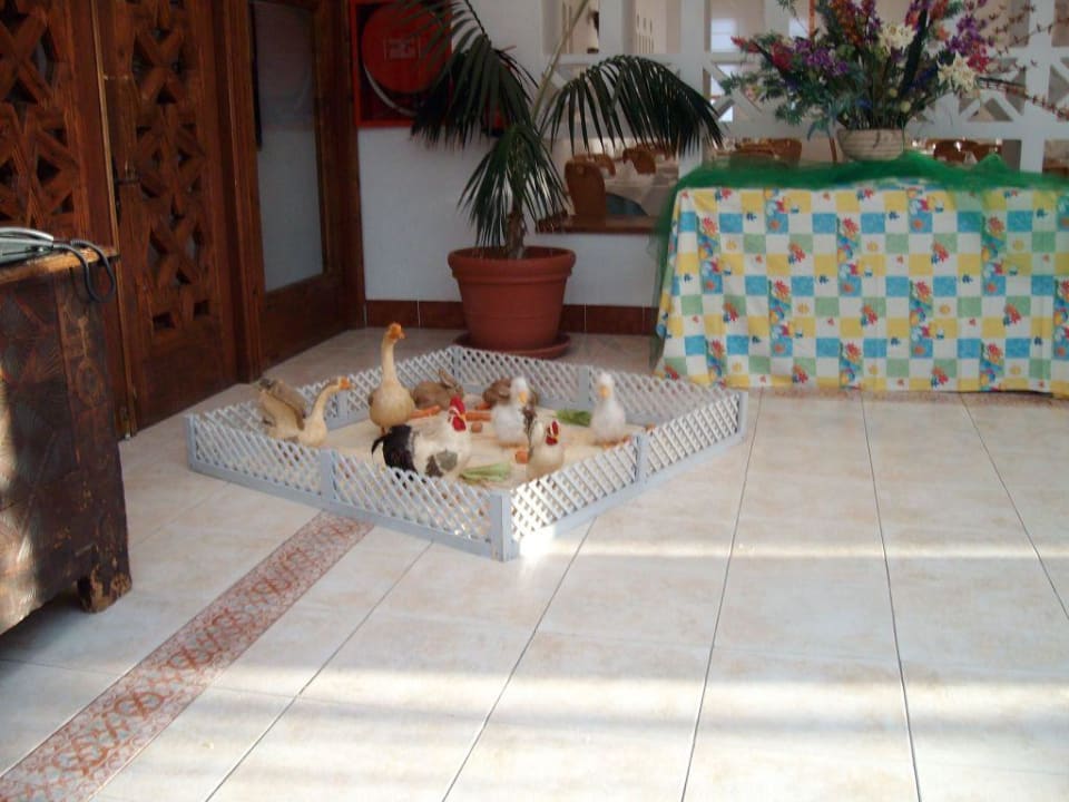 Restaurant zu Ostern Club Jandia Princess